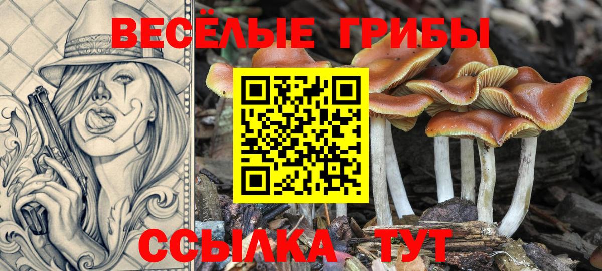 Псилоцибиновые грибы мухоморы Куйбышев