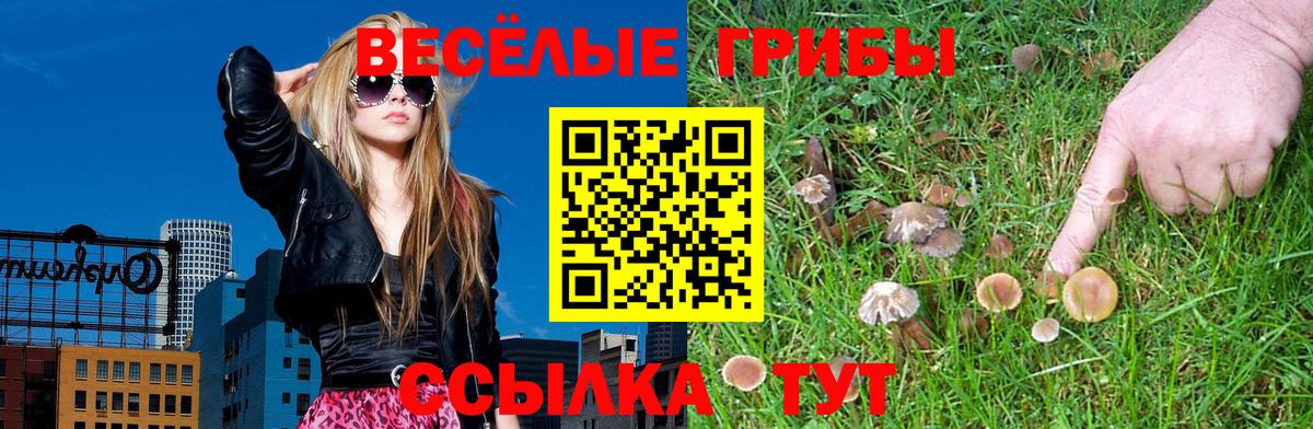 Галлюциногенные грибы MAGIC MUSHROOMS  Вход с VPN  купить закладку  Куйбышев 